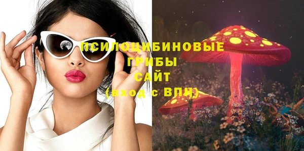 дмт Дмитровск