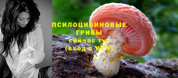дмт Дмитровск