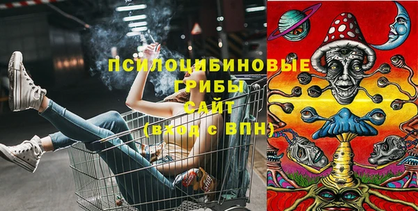 ECSTASY Елизово