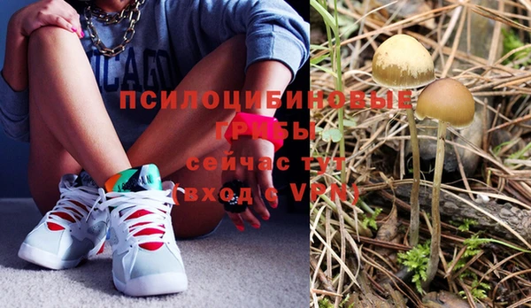 дмт Дмитровск
