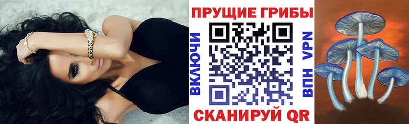 Галлюциногенные грибы Cubensis  Купить где  Красавино 